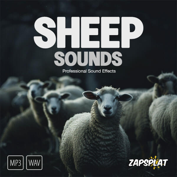 Sheep sound effects