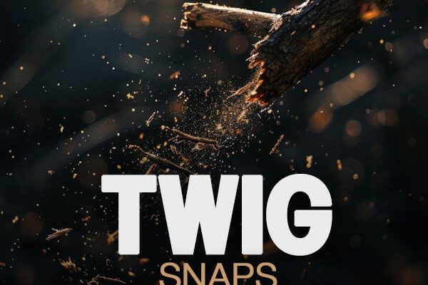 Twig snap sound effects