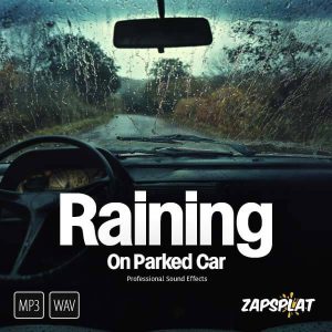 Free raining on parked car sound effects