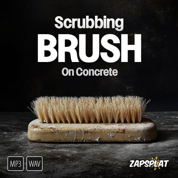 Scrubbing Brush on Concrete Sound Pack