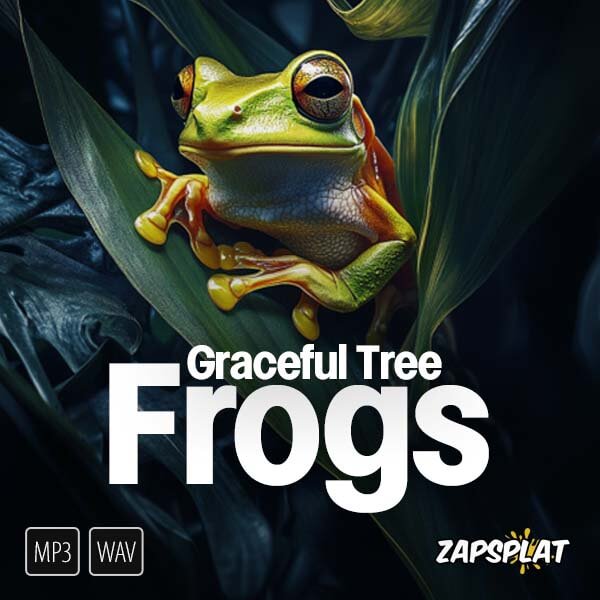 Graceful Tree Frogs